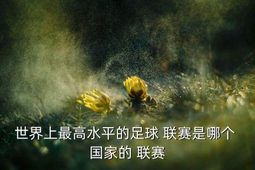 以超聯(lián)賽指哪個(gè)國(guó)家,我覺得英超是最有錢聯(lián)賽之一