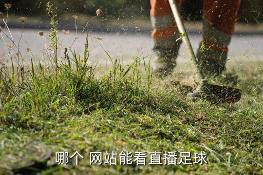 哪個 網站能看直播足球