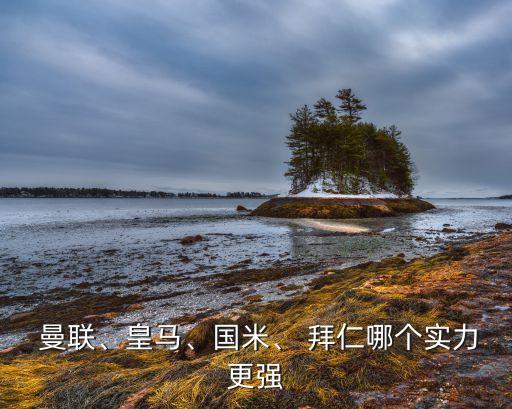  曼聯(lián)、皇馬、國(guó)米、 拜仁哪個(gè)實(shí)力更強(qiáng)