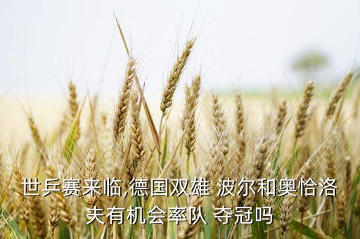 世乒賽來(lái)臨,德國(guó)雙雄 波爾和奧恰洛夫有機(jī)會(huì)率隊(duì) 奪冠嗎