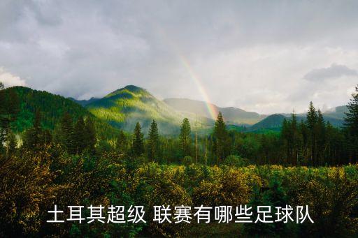土耳其聯(lián)賽冠軍哪個隊,土耳其足球聯(lián)賽土超球員名單出爐