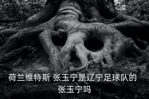 荷蘭維特斯 張玉寧是遼寧足球隊(duì)的 張玉寧嗎