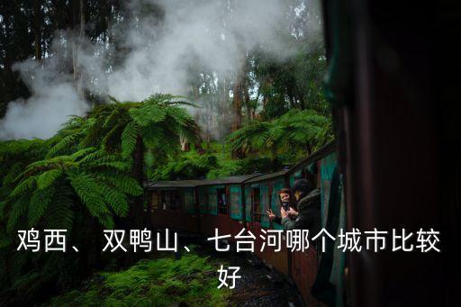 雞西、 雙鴨山、七臺(tái)河哪個(gè)城市比較好