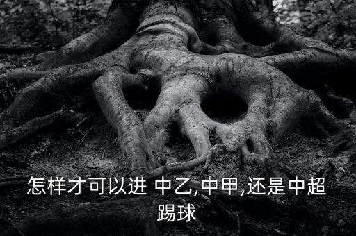中乙哪個(gè)平臺可以看錄播,中超國內(nèi)球員水平明顯比中乙高