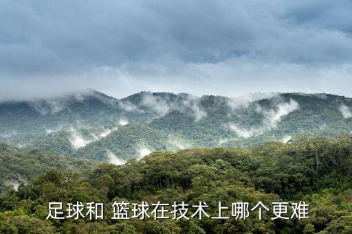  足球和 籃球在技術(shù)上哪個更難