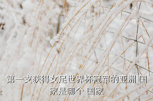 阿美杯是哪個(gè)國家的,日本男足驚險(xiǎn)晉級決賽