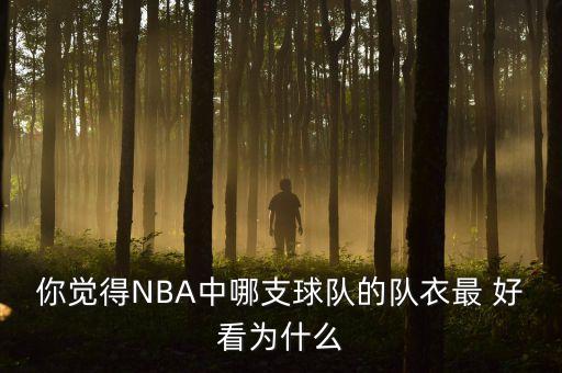 你覺(jué)得NBA中哪支球隊(duì)的隊(duì)衣最 好看為什么