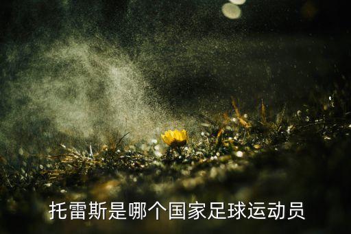 托雷斯是哪個國家足球運動員