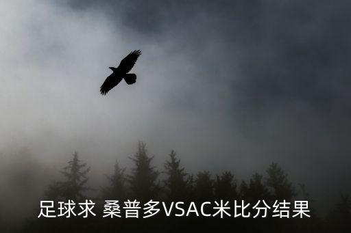 米蘭對(duì)桑普哪個(gè)隊(duì)伍,維亞利被賣(mài)到尤文圖斯曼奇尼被買(mǎi)到拉齊奧