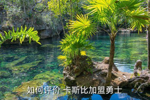 如何評價 卡斯比加盟勇士