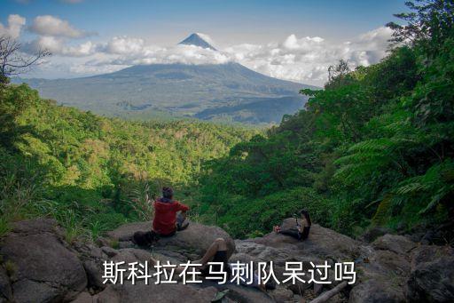 斯科拉在哪個(gè)隊(duì),nba球星斯科拉出爐