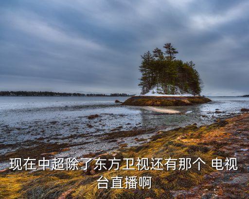 哪個(gè)電視臺(tái)播中超,中國多個(gè)平臺(tái)可觀看直播中超賽事