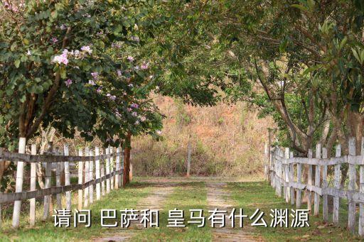 請(qǐng)問 巴薩和 皇馬有什么淵源