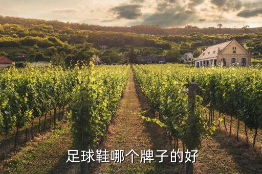 哪個(gè)足球鞋最好,耐克奮起直追但彪馬仍是經(jīng)典款