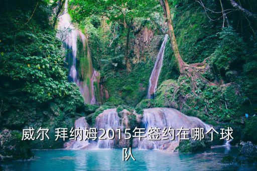 拜納姆現(xiàn)在在哪個隊,拜納姆錯失nba總冠軍機會