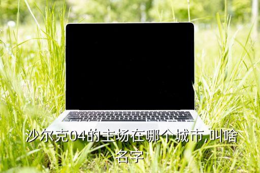  沙爾克04的主場在哪個城市,叫啥名字