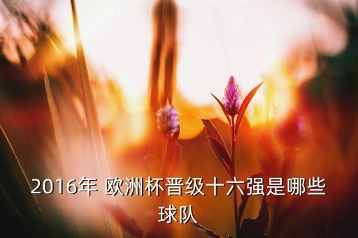 2016年 歐洲杯晉級(jí)十六強(qiáng)是哪些球隊(duì)