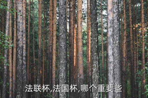 pas杯是哪個聯(lián)賽,法國聯(lián)賽杯對比歐洲冠軍杯更受歡迎