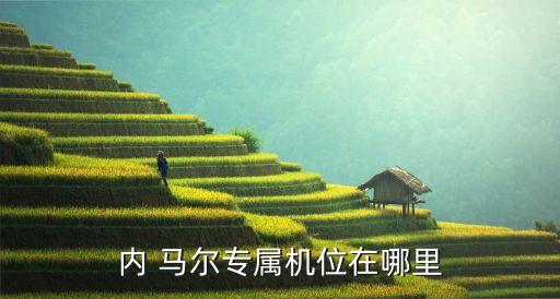 內(nèi) 馬爾專屬機(jī)位在哪里