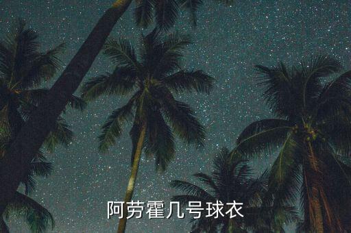 阿勞霍幾號(hào)球衣
