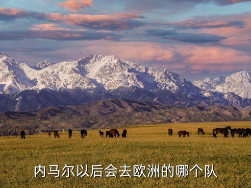 內(nèi)馬爾以后會去歐洲的哪個隊
