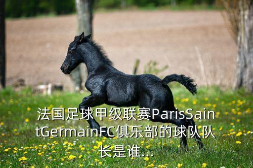 亞戈席爾瓦在哪個(gè)隊(duì),巴西前國腳亞戈席爾瓦去巴黎留隊(duì)