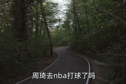 周琦去了哪個隊,周琦99年加入遼寧男籃b組比賽