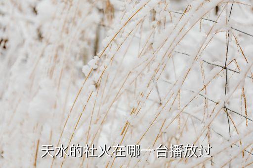 天水的社火在哪一臺播放過