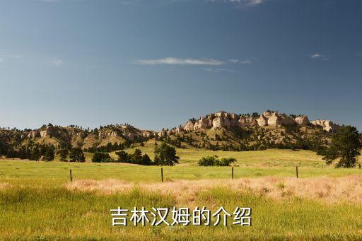 吉靈漢姆是哪個隊,狼隊2比0擊敗普利斯菲爾德