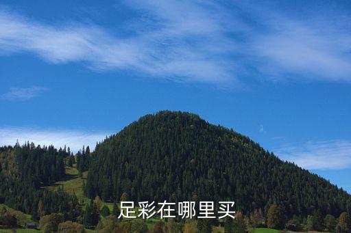 哪個(gè)網(wǎng)有免費(fèi)足彩推薦,中國體育彩票新規(guī)定