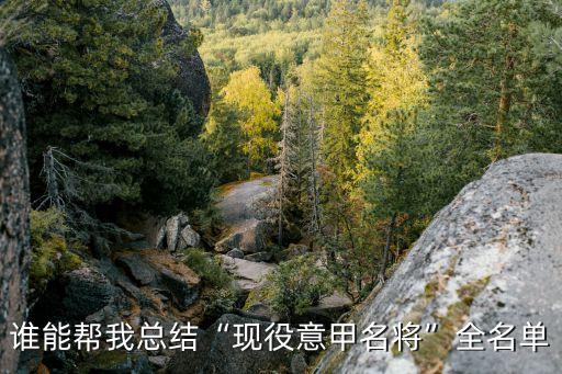 誰(shuí)能幫我總結(jié)“現(xiàn)役意甲名將”全名單
