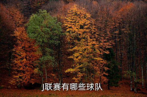 J聯(lián)賽有哪些球隊(duì)