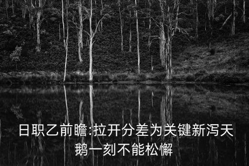 日職乙在哪個播放器,日本職業(yè)足球聯(lián)賽開幕曾是職聯(lián)錦標賽