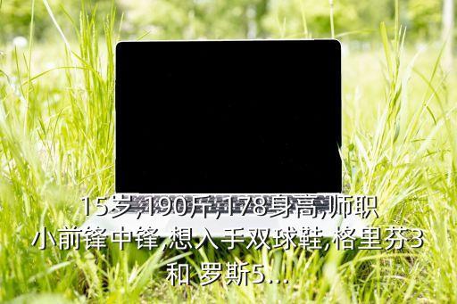 15歲,190斤,178身高,師職小前鋒中鋒,想入手雙球鞋,格里芬3和 羅斯5...