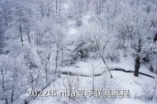 nba奇才 太陽哪個強,nba:太陽隊不敵nba湖人隊