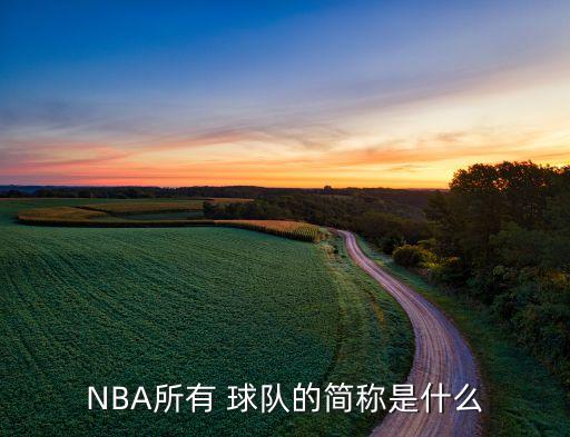 NBA所有 球隊的簡稱是什么
