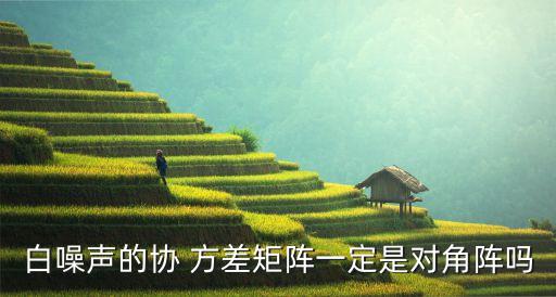 白噪聲的協(xié) 方差矩陣一定是對角陣嗎