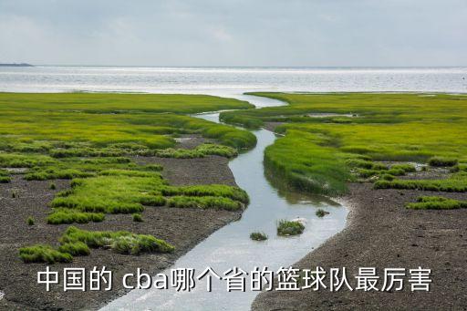 中國的 cba哪個省的籃球隊(duì)最厲害
