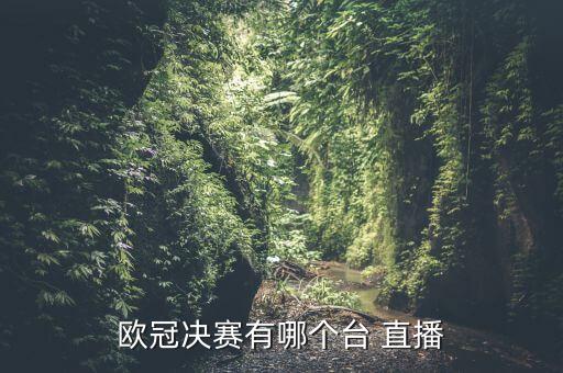 歐冠決賽有哪個(gè)臺 直播