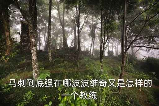  馬刺到底強(qiáng)在哪波波維奇又是怎樣的一個教練