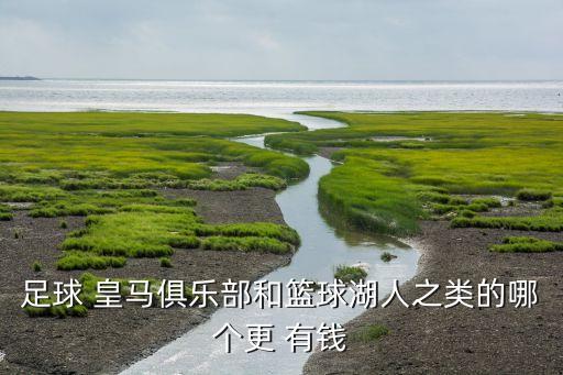 足球 皇馬俱樂部和籃球湖人之類的哪個(gè)更 有錢