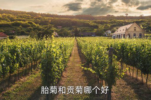 河北cffc是哪個(gè)球隊(duì),俄羅斯世界杯:克羅地亞爆冷晉級(jí)四強(qiáng)