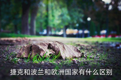  捷克和波蘭和歐洲國(guó)家有什么區(qū)別