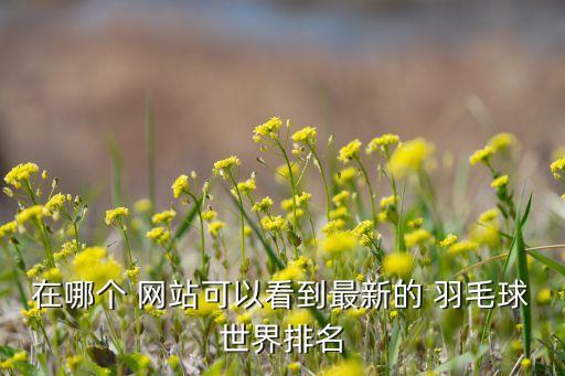 在哪個 網站可以看到最新的 羽毛球世界排名
