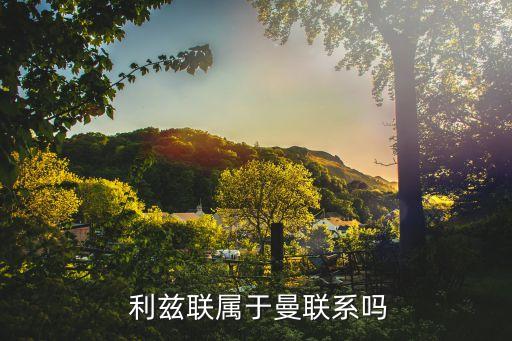 利茲聯(lián)球隊屬哪個級別,利茲曼聯(lián)降級英甲聯(lián)賽不屬于他們