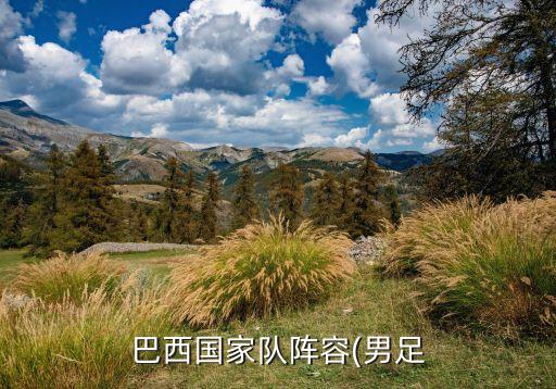 米蘭達(dá)在哪個球隊,國際米蘭2-1擊敗維羅納球隊保持不敗