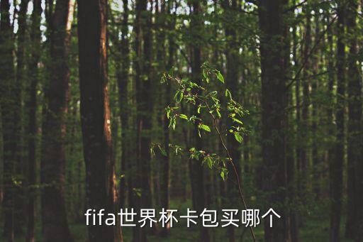  fifa世界杯卡包買哪個(gè)