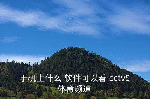 手機(jī)上什么 軟件可以看 cctv5體育頻道