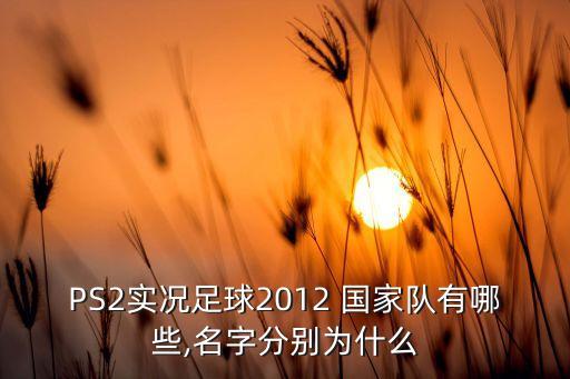 奧地利與美國哪個(gè)國家隊(duì),十國集選區(qū)票結(jié)果出爐國際市場關(guān)注