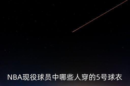 凱爾特人是哪個(gè)隊(duì)服,nba現(xiàn)役球員所穿5號(hào)球衣